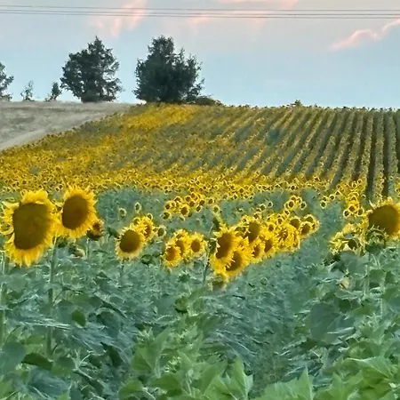 ''la Nuestra'' Bercimuel