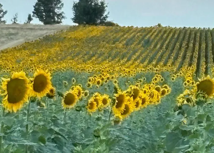 ''la Nuestra'' Bercimuel